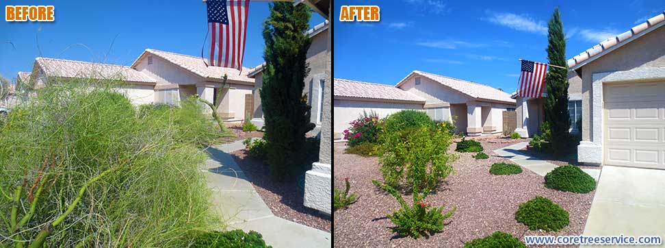 Before & After, Palo Verde tree breaks during storm in Glendale, 85085
