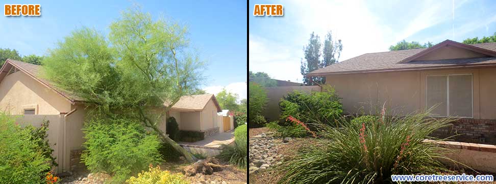 Before & After, Palo Verde tree falls after dust storm in Waddell, 85355