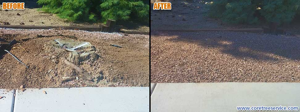 Before & After, stump grinding a Pine tree stump in Phoenix, 85053