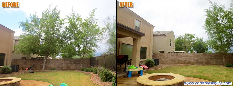 Before & After, removal of an Indian Rosewood Tree In Phoenix, 85024